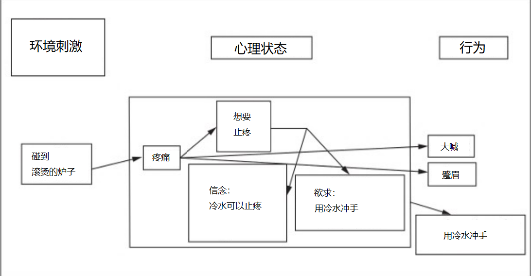 功能主义分析